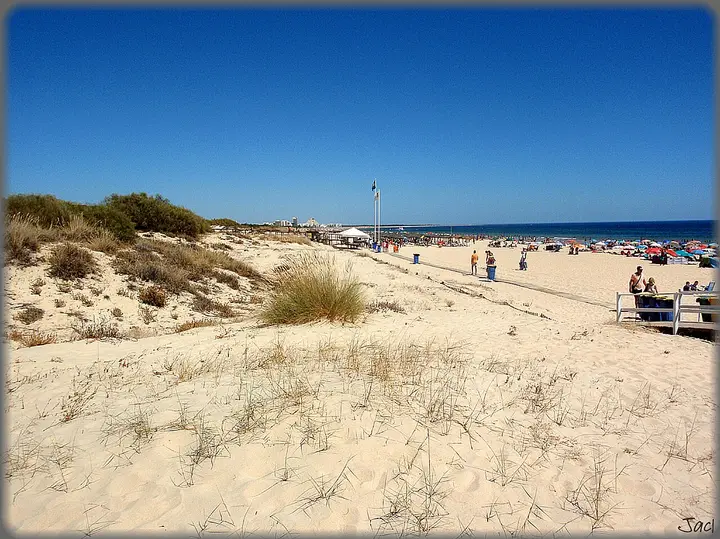 Dunas com vegetação e o mar de Praia Verde num dia de céu limpo